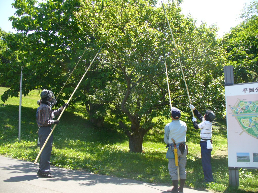 梅ボランティア養成講座 ２ 平岡公園