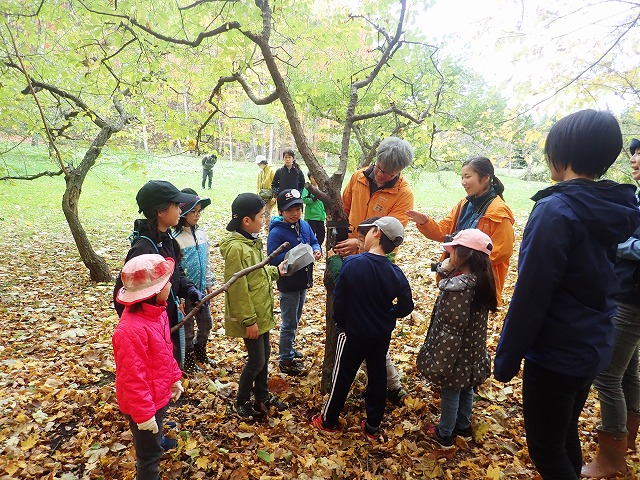 ひらおか自然まるごと探検隊　やってみよう！動物さがし