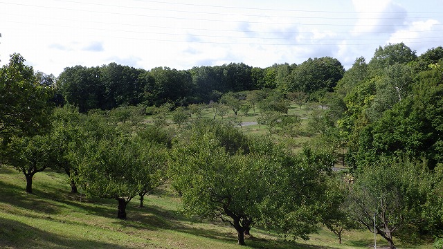 平岡公園