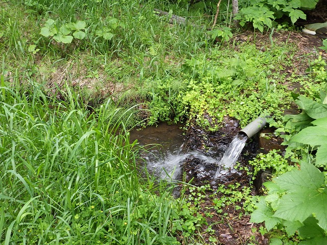 人工湿地へ水を引く堰