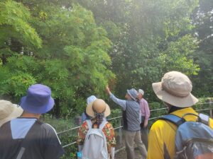 ナナカマドの実を見学