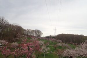 全景