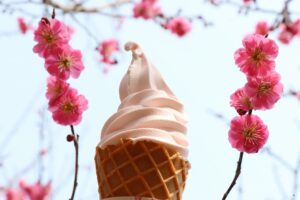 梅ソフトクリーム