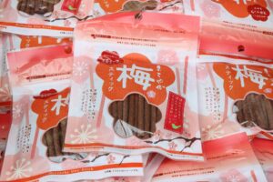 梅スティック600円