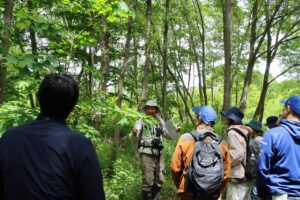 ひらおか春の湿生植物観察ツアーを開催しました