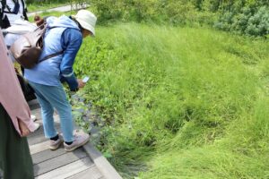 人工湿地にて