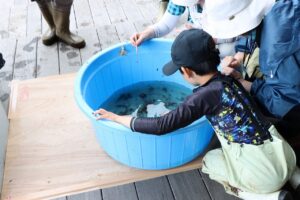 にぎわいフェスタ　川の生き物観察