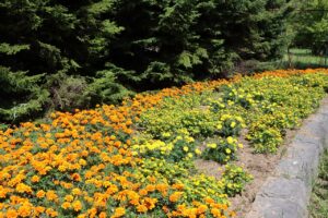 花の広場花壇