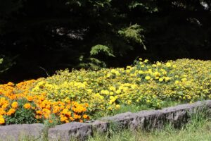 花の広場花壇