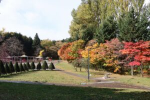紅葉と生きもの情報【2026年10月28日】